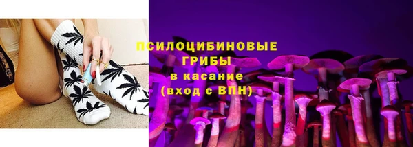 твердый Алзамай