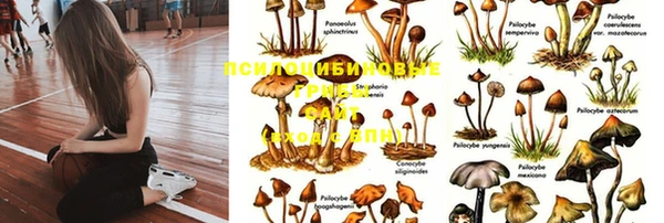 МДПВ Алексин