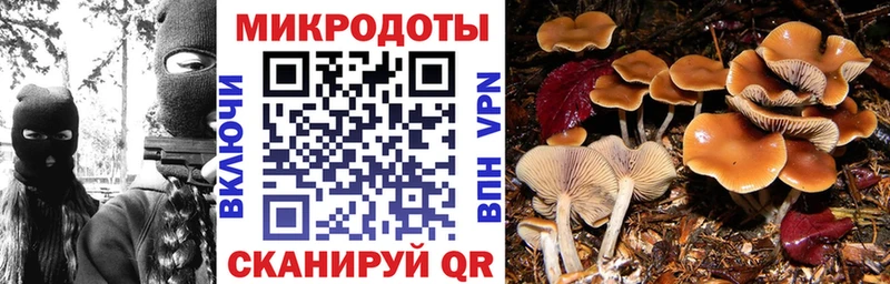 Псилоцибиновые грибы GOLDEN TEACHER Юрьевец